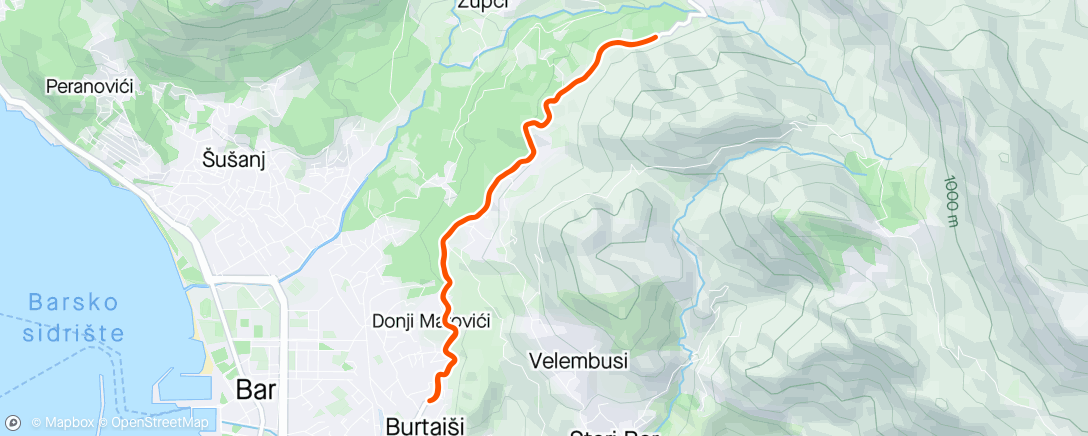 Map of the activity, Run 4 x 4min VO2max uphill:10km around Burtaiši