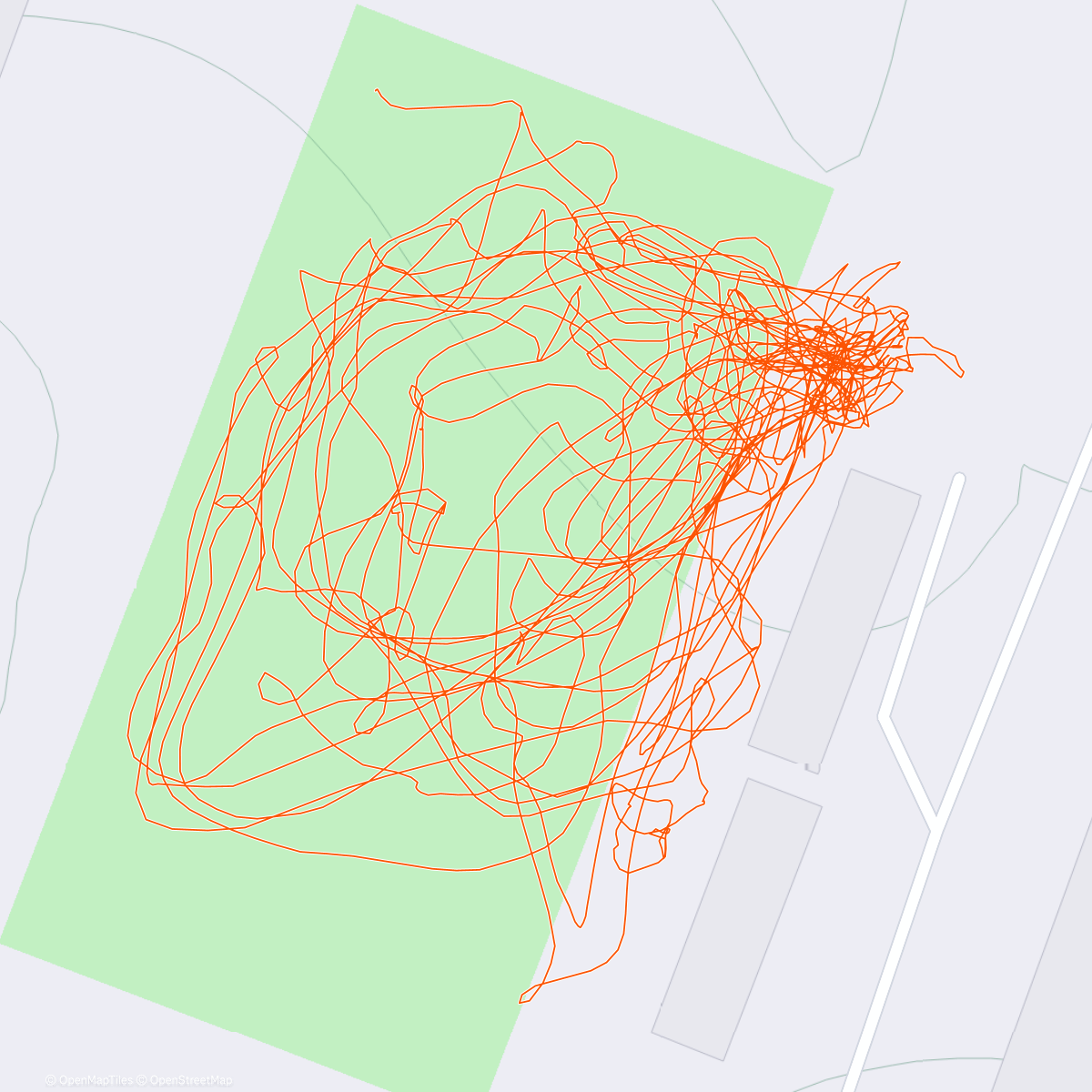 Карта физической активности (С Марком 🏑)