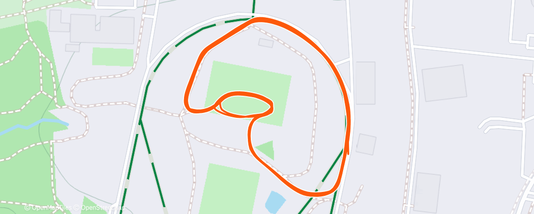 Map of the activity, Северный лыжный заезд (после обеда)