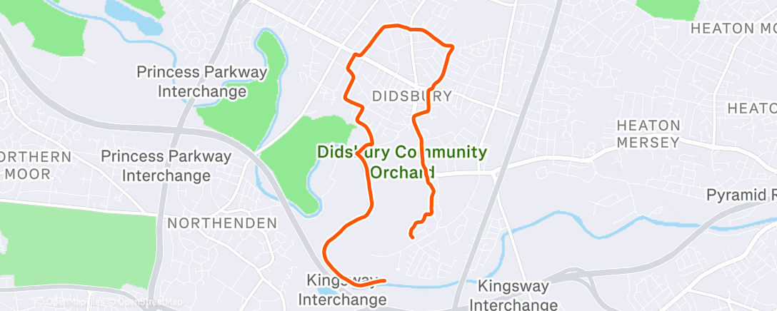 Map of the activity, Morning Run