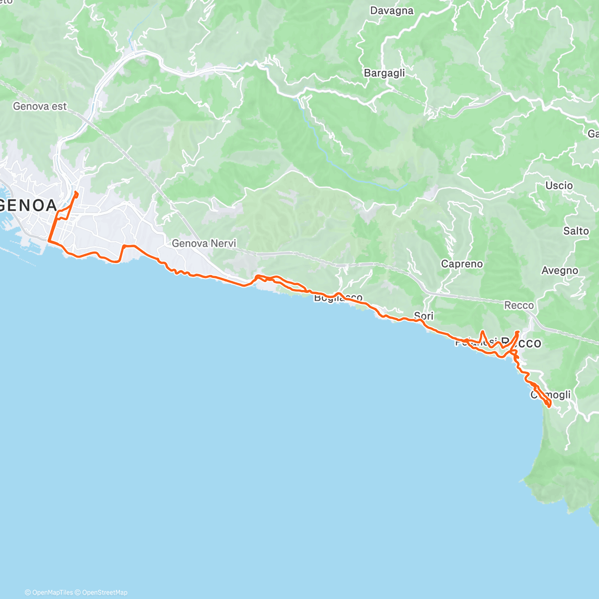 Map of the activity, Camogli ☕️