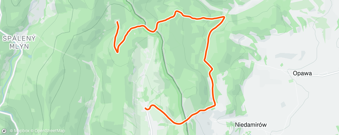 Map of the activity, Morning Run