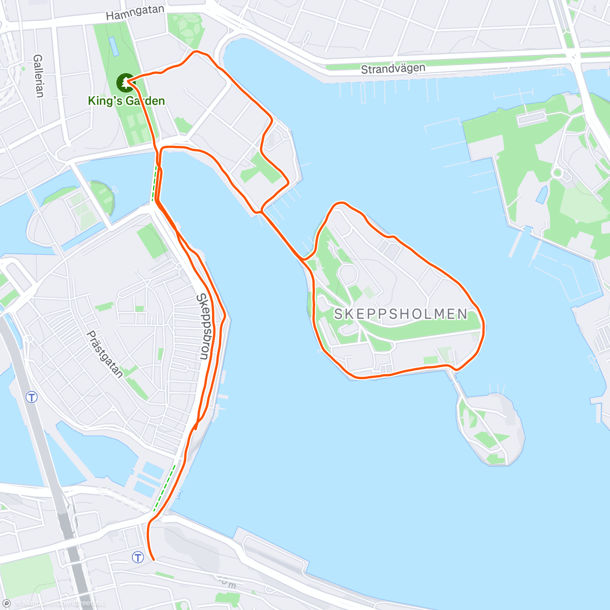 Map of the activity, Stockholm with William 😍