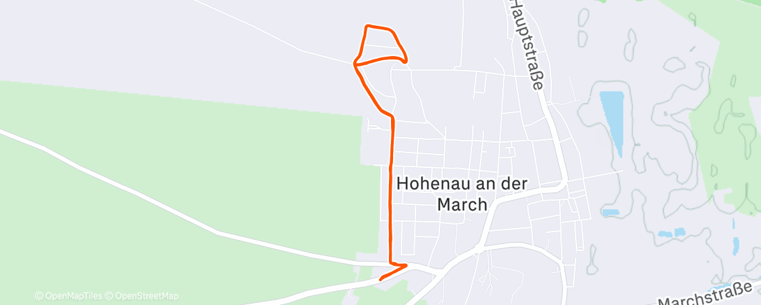 Map of the activity, Morning Run