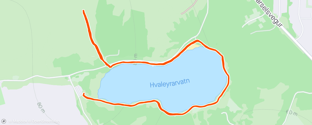 Карта физической активности (Haukæfing við Hvaleyrarvatn ❤️)