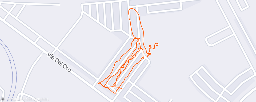 Map of the activity, Afternoon Walk