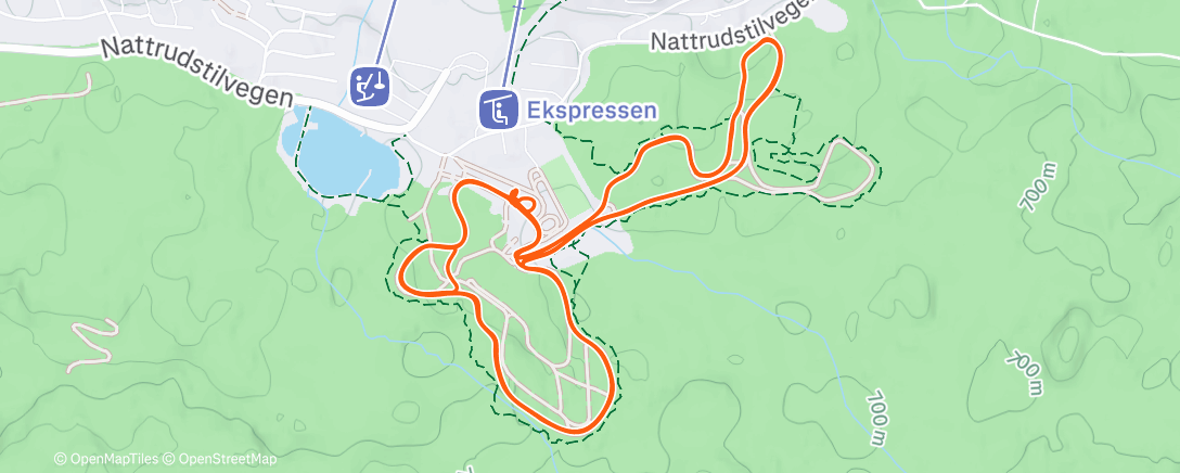 Карта физической активности (Intervall skate)