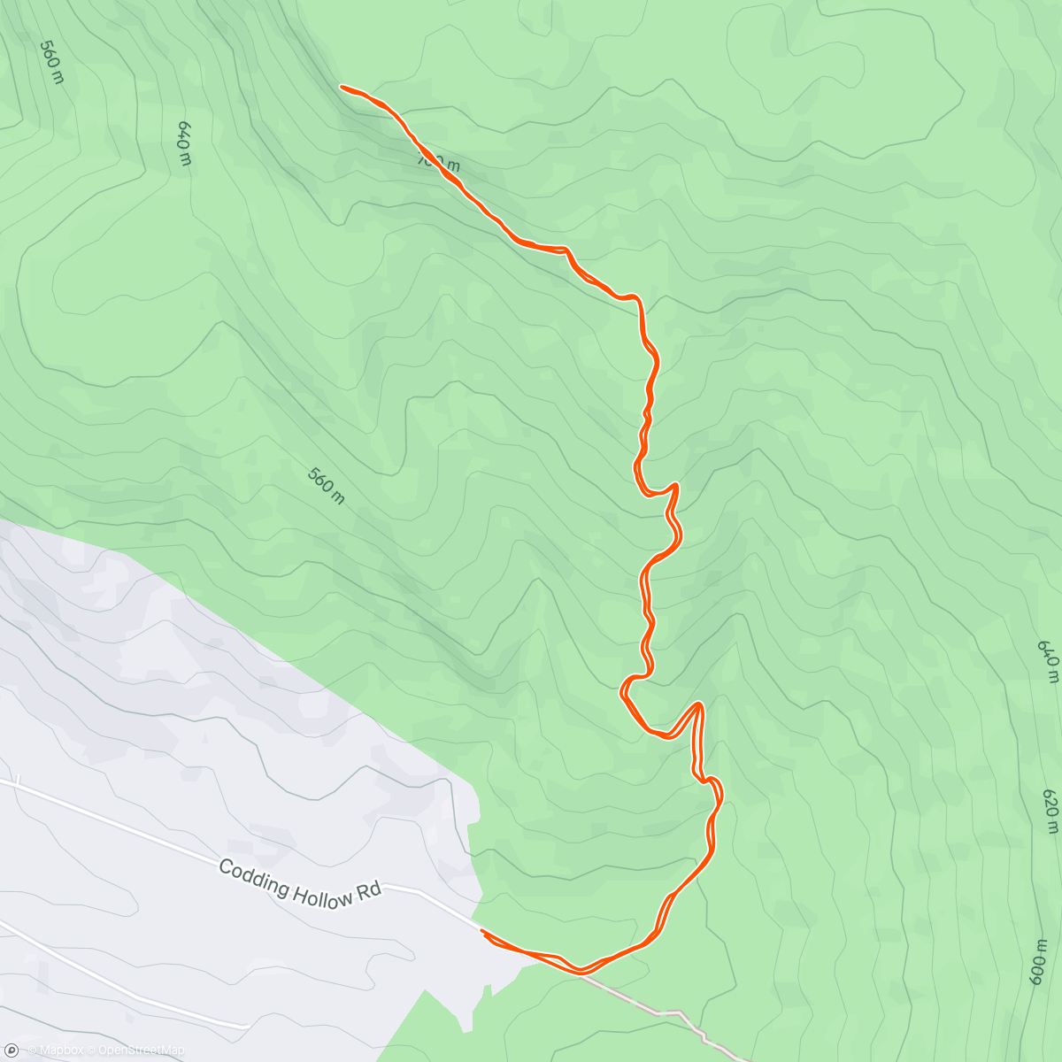 Map of the activity, Morning Hike
