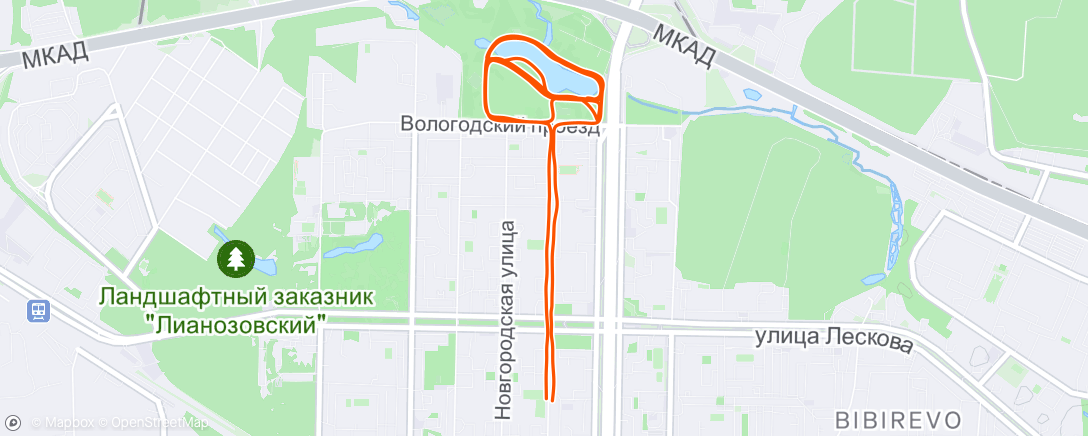 Map of the activity, Дневной забег