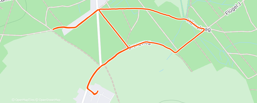 Карта физической активности (Lunch Walk ⛅)