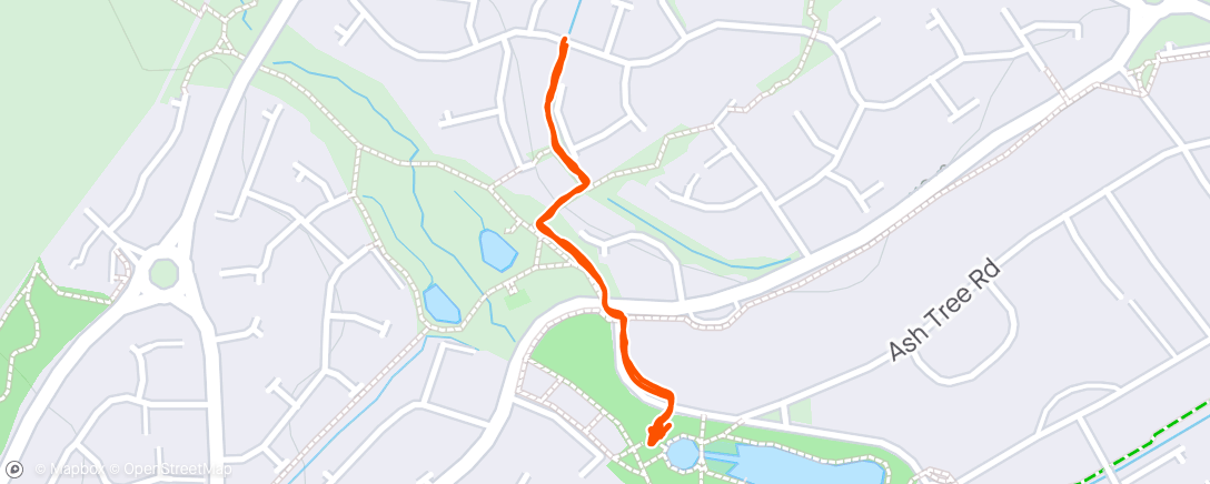 Map of the activity, Afternoon Walk to the park with Nelly