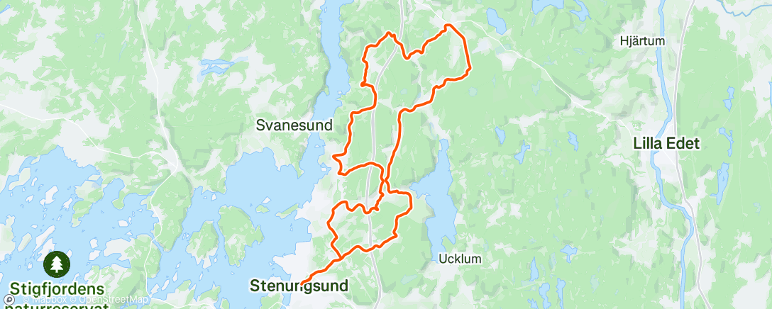 Map of the activity, Rulla ner skinkan!