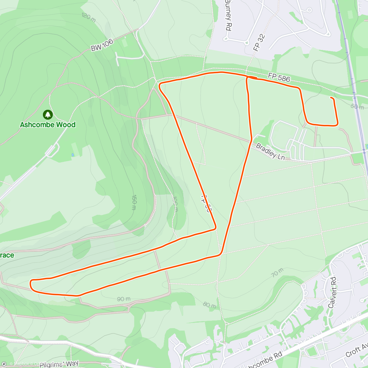 Map of the activity, PNJ [61]: Parkrun [197] Mole Valley