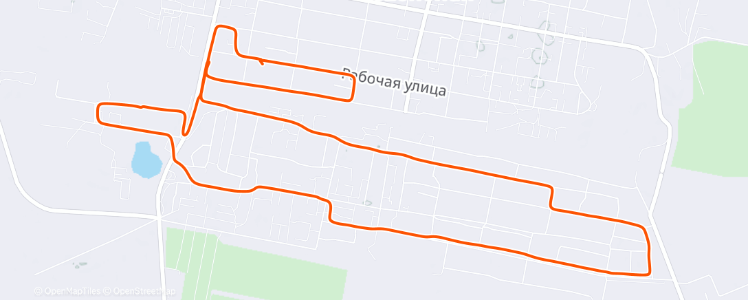 Map of the activity, Дневной забег