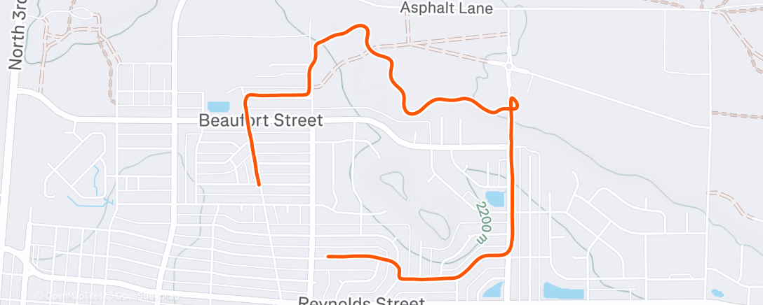 Map of the activity, Lunch Walk