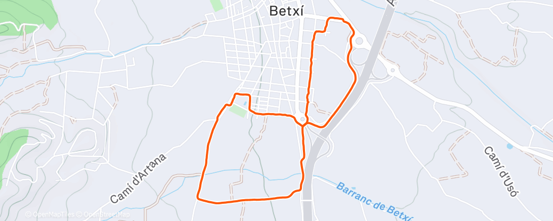 Карта физической активности (🐕🚶🏽‍♂️)