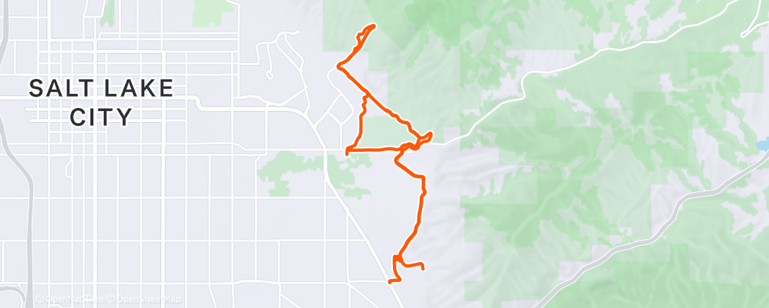 Map of the activity, Afternoon Trail Run