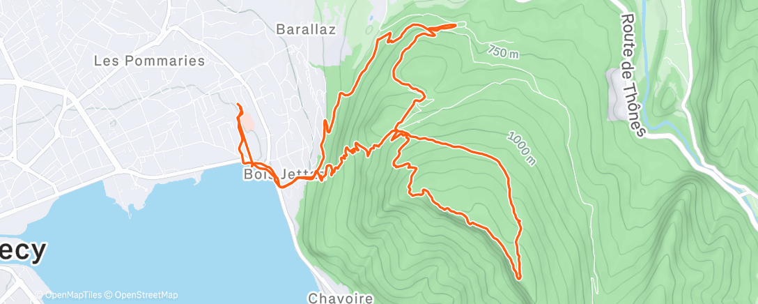 Map of the activity, Veyrier con la jefa