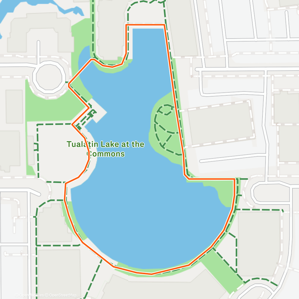 Map of the activity
