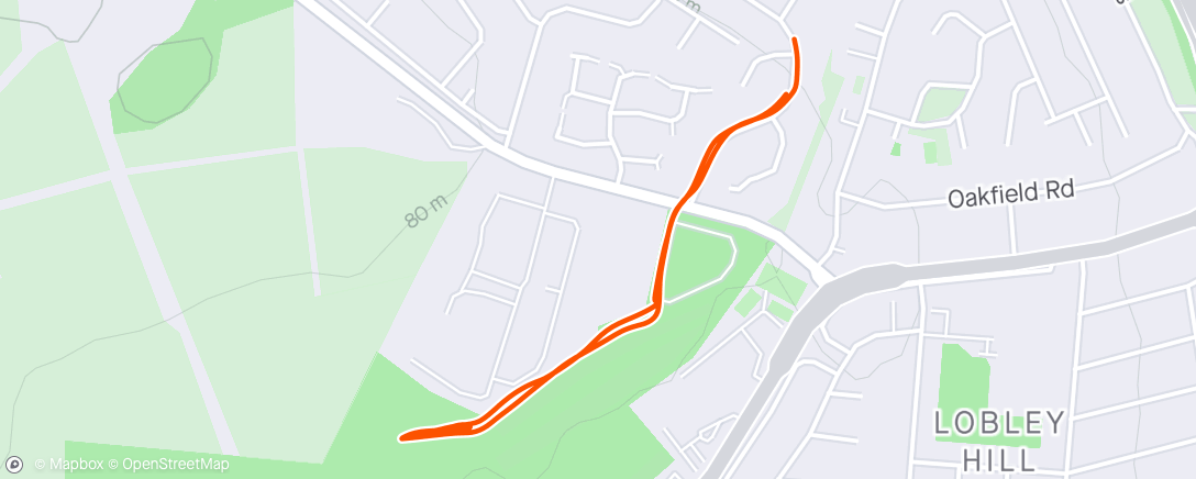 Map of the activity, Hill repeats (well a tiny ramp)☺️