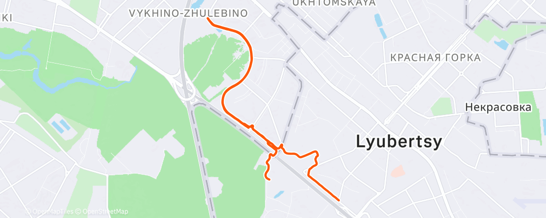 Карта физической активности (Дневной забег)