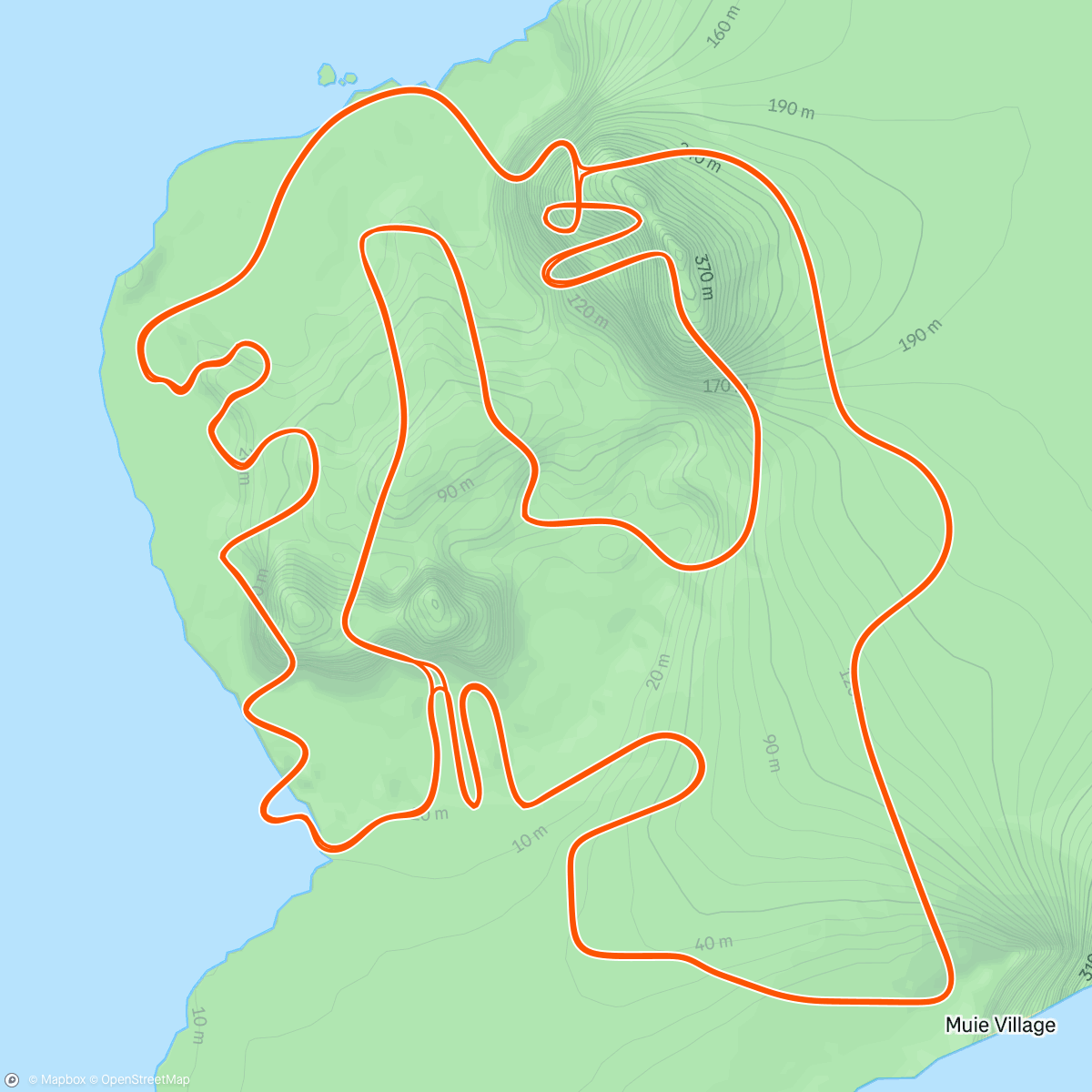 Map of the activity, Zwift - Figure 8 Reverse in Watopia