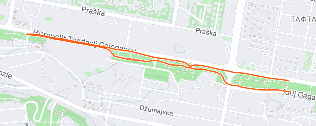 Map of the activity, Morning Walk