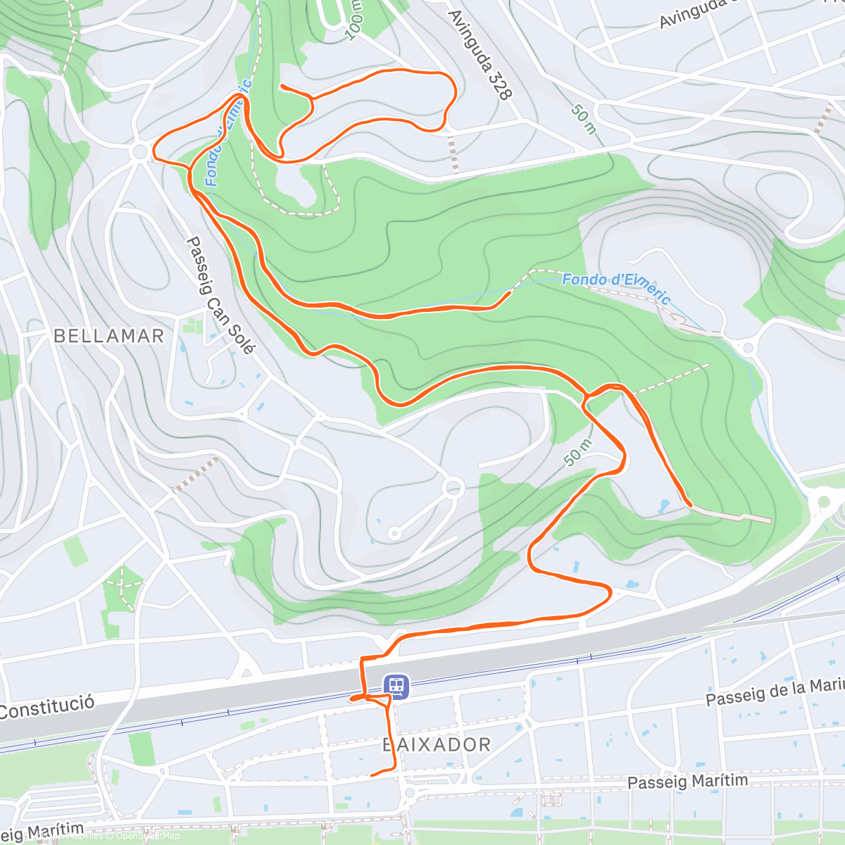 Карта физической активности (Afternoon Run)