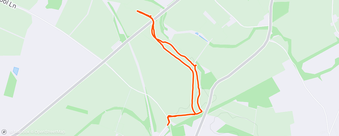 Map of the activity, Afternoon Walk