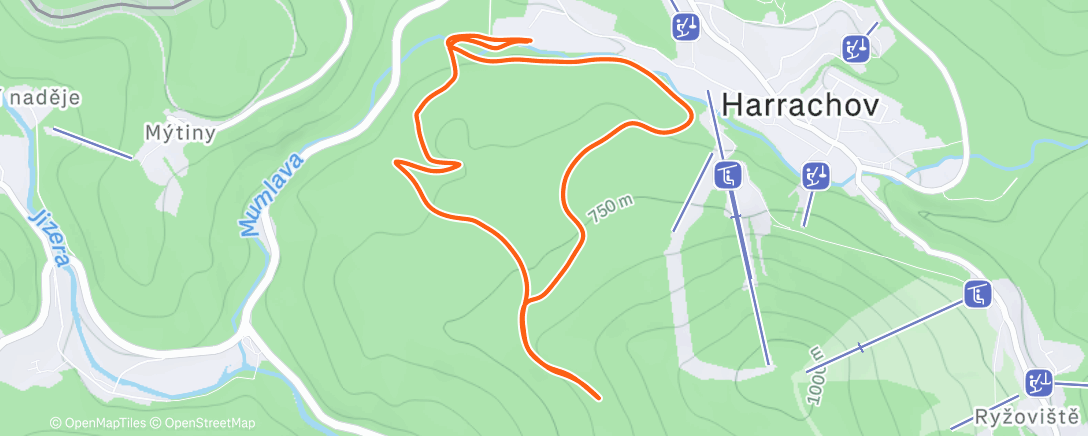 Карта физической активности (Lunch Run)