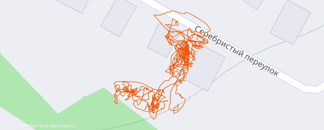 Карта физической активности (Тренировка (после обеда))