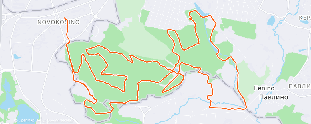 Карта физической активности (Morning Run)