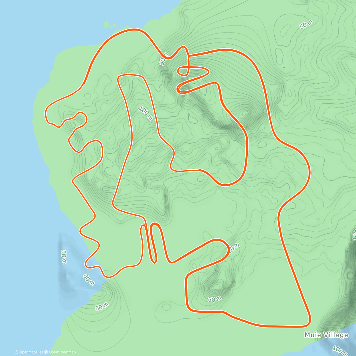 Map of the activity, Zwift - Figure 8 in Watopia