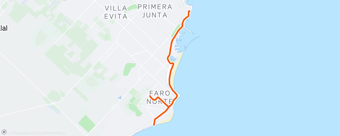 Карта физической активности (Утренний забег)