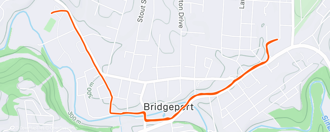 Карта физической активности (Rough e pace day)