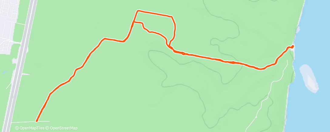 Карта физической активности (Утренняя прогулка)