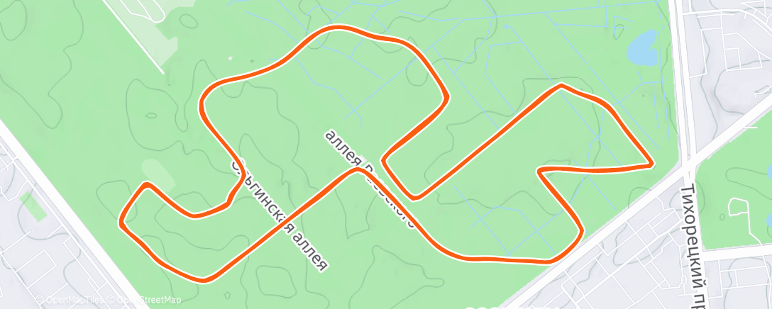 Карта физической активности (Полуденный забег)