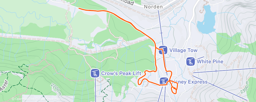 Карта физической активности (Morning Nordic Ski)