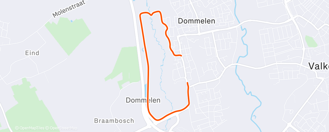 Карта физической активности (Afternoon Walk)