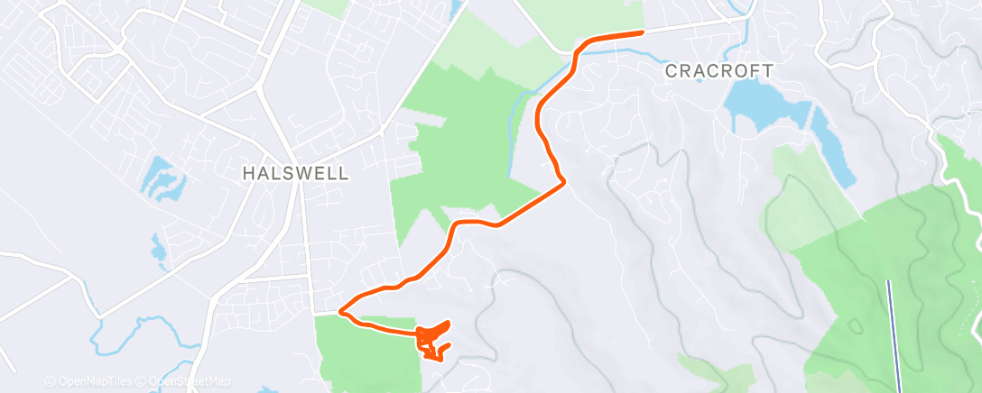 Mapa de la actividad (Duck hamstering)