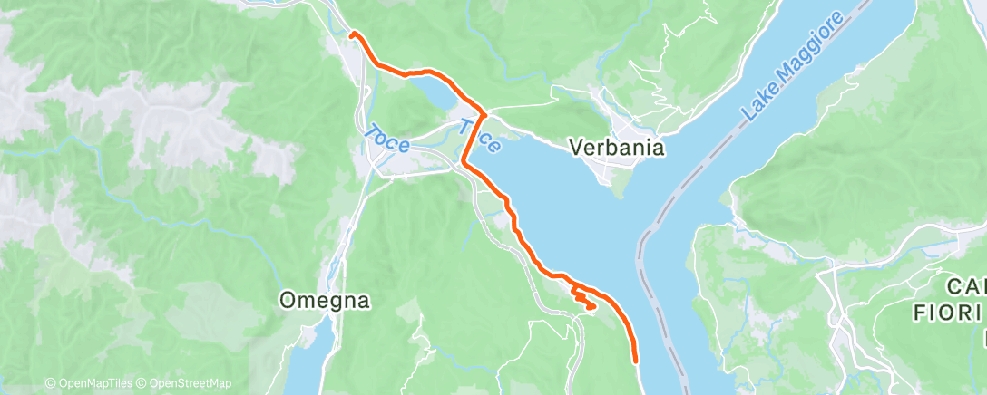 Carte de l'activité Rescued 🫣