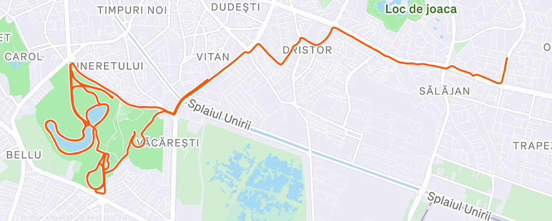 Карта физической активности (Morning Run)