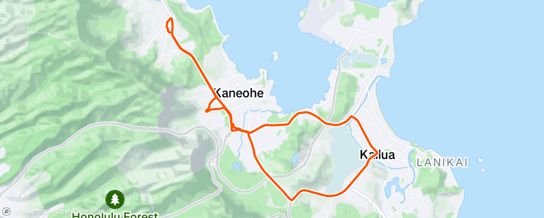 Map of the activity, Back at it