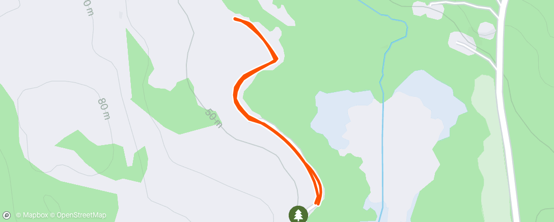 Map of the activity, Evening Run