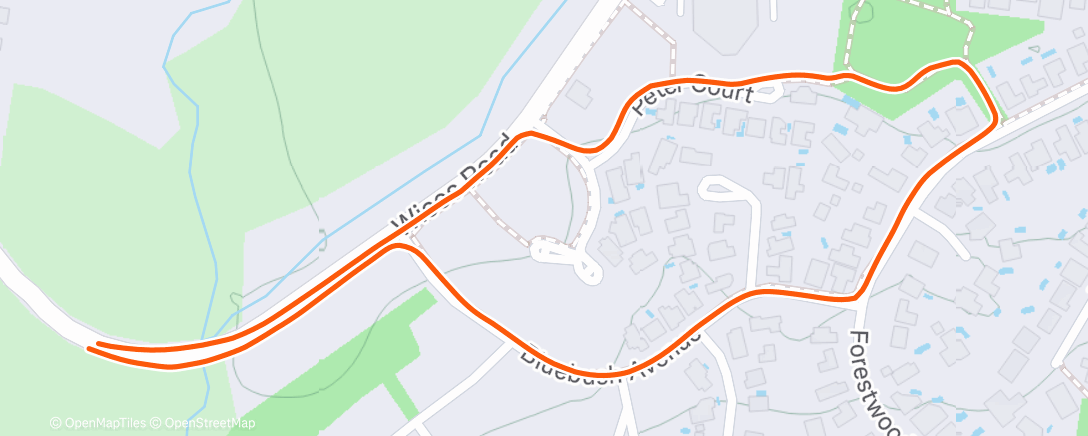 Map of the activity, Evening Hike