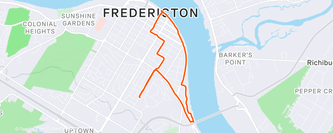 Mappa dell'attività Night Run