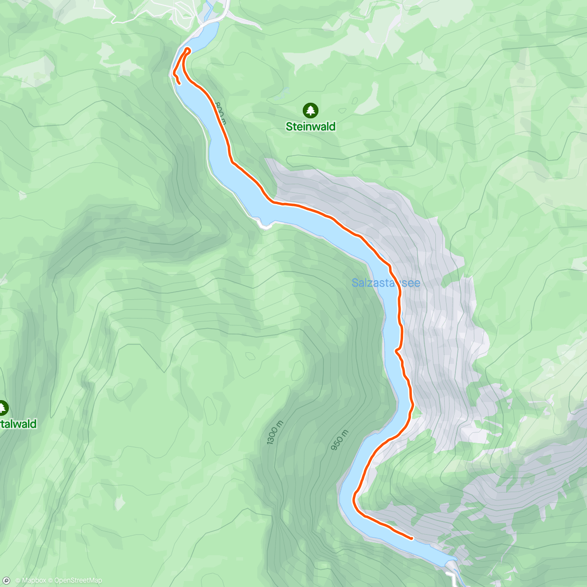 Map of the activity, Kinomap - Salzastausee Lake 🛶 2/2