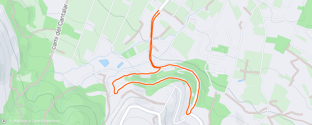 Map of the activity, Morning Dog Walk
