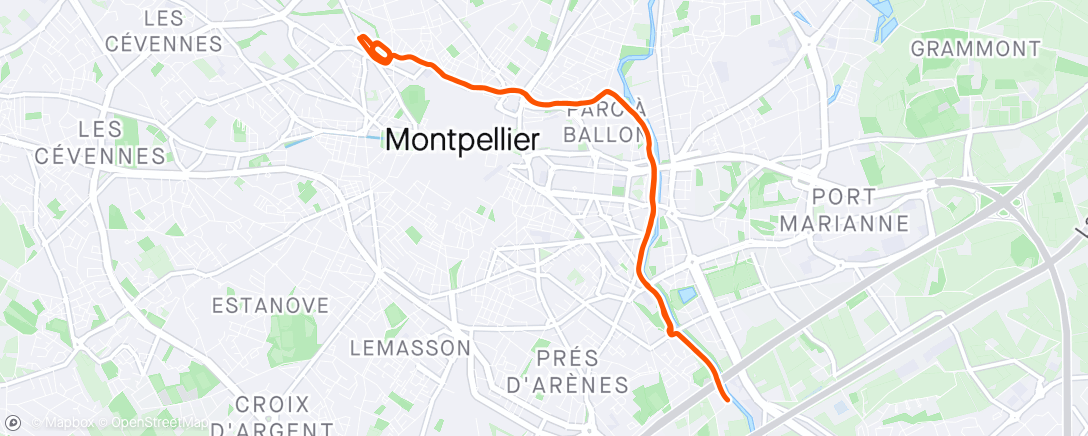 Map of the activity, Montpellier