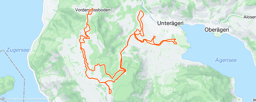 Карта физической активности (Skiathlon Unterägeri - Zugerberg)
